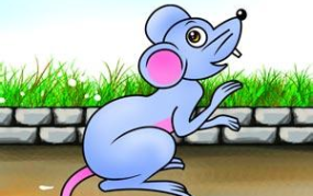 属鼠人2014年运势,起伏不定，需谨慎应对
